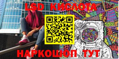 крисы Кингисепп