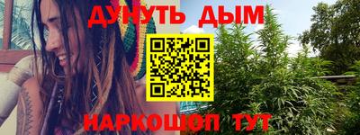 крисы Кингисепп