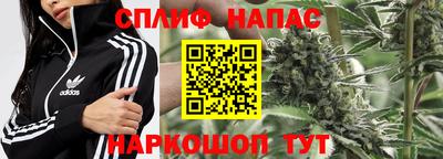 apvp Кинель