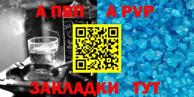 крисы Кингисепп