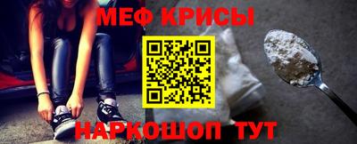 крисы Кингисепп